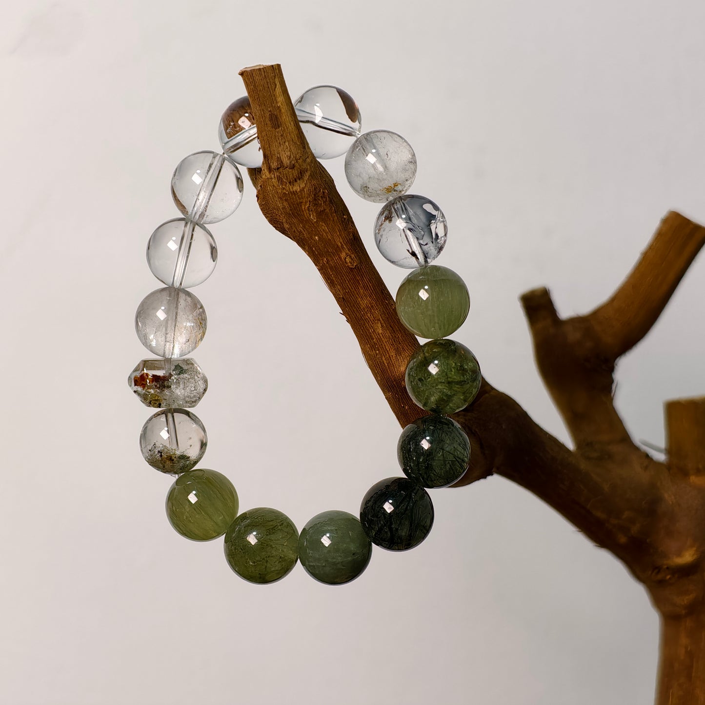 Verdant Lens｜Original Design